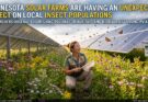 Minnesota Solar Farms Are Having An Unexpected Effect On Local Insect Populations